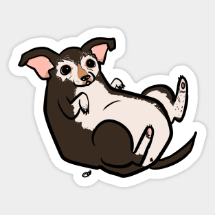 Potato Chihuahua Tabasco Style Sticker